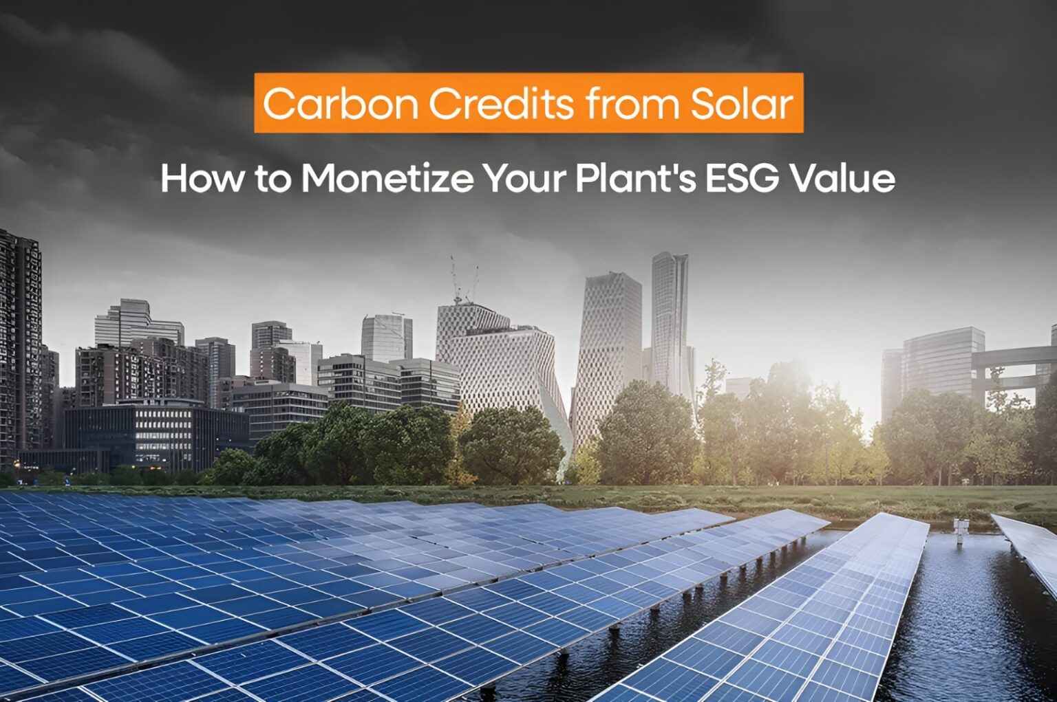 Carbon Credits from Solar: How to Monetize Your Plant's ESG Value ...